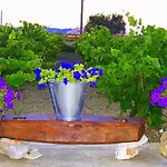 Augoustinos *